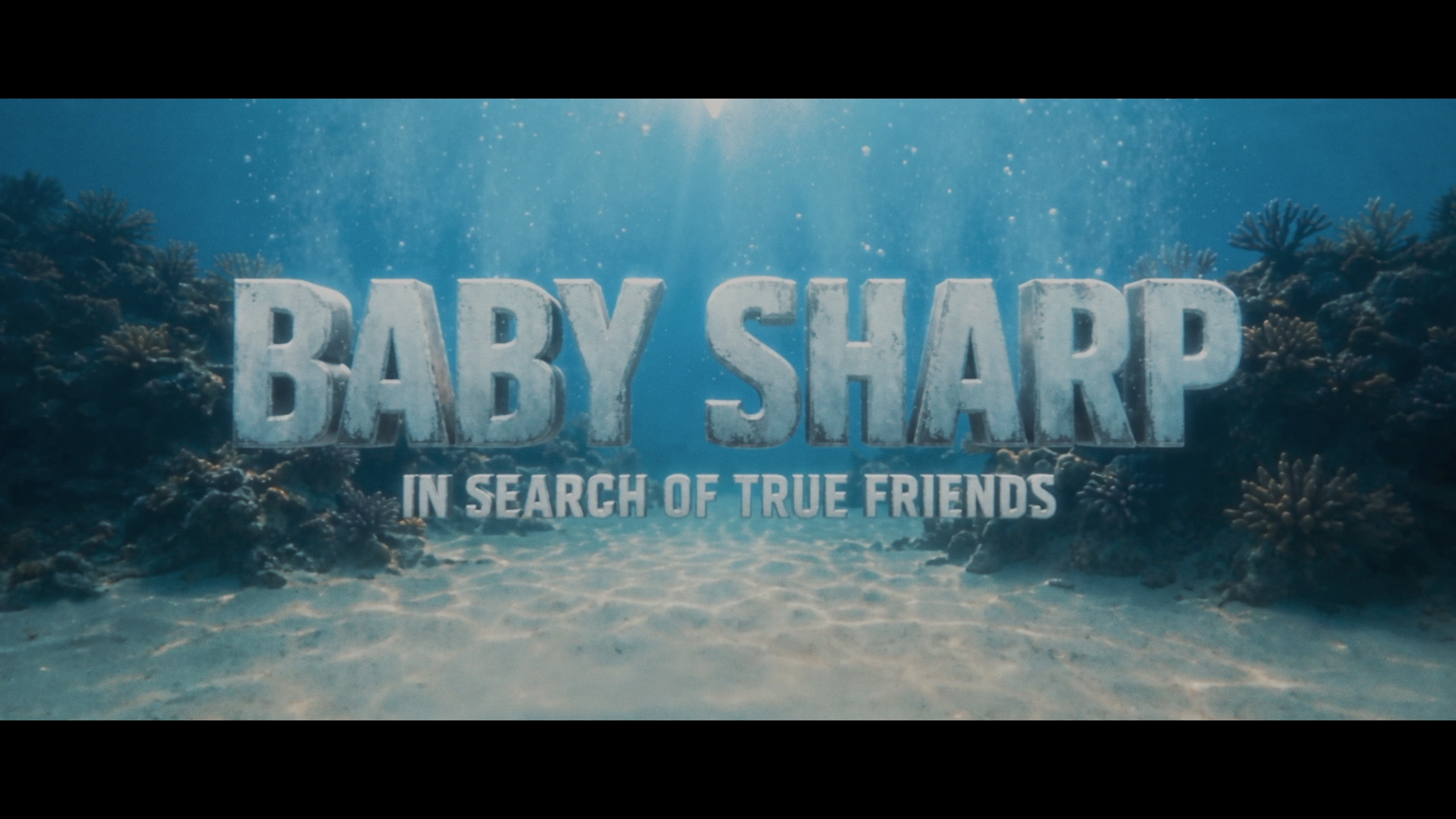 BABY SHARP