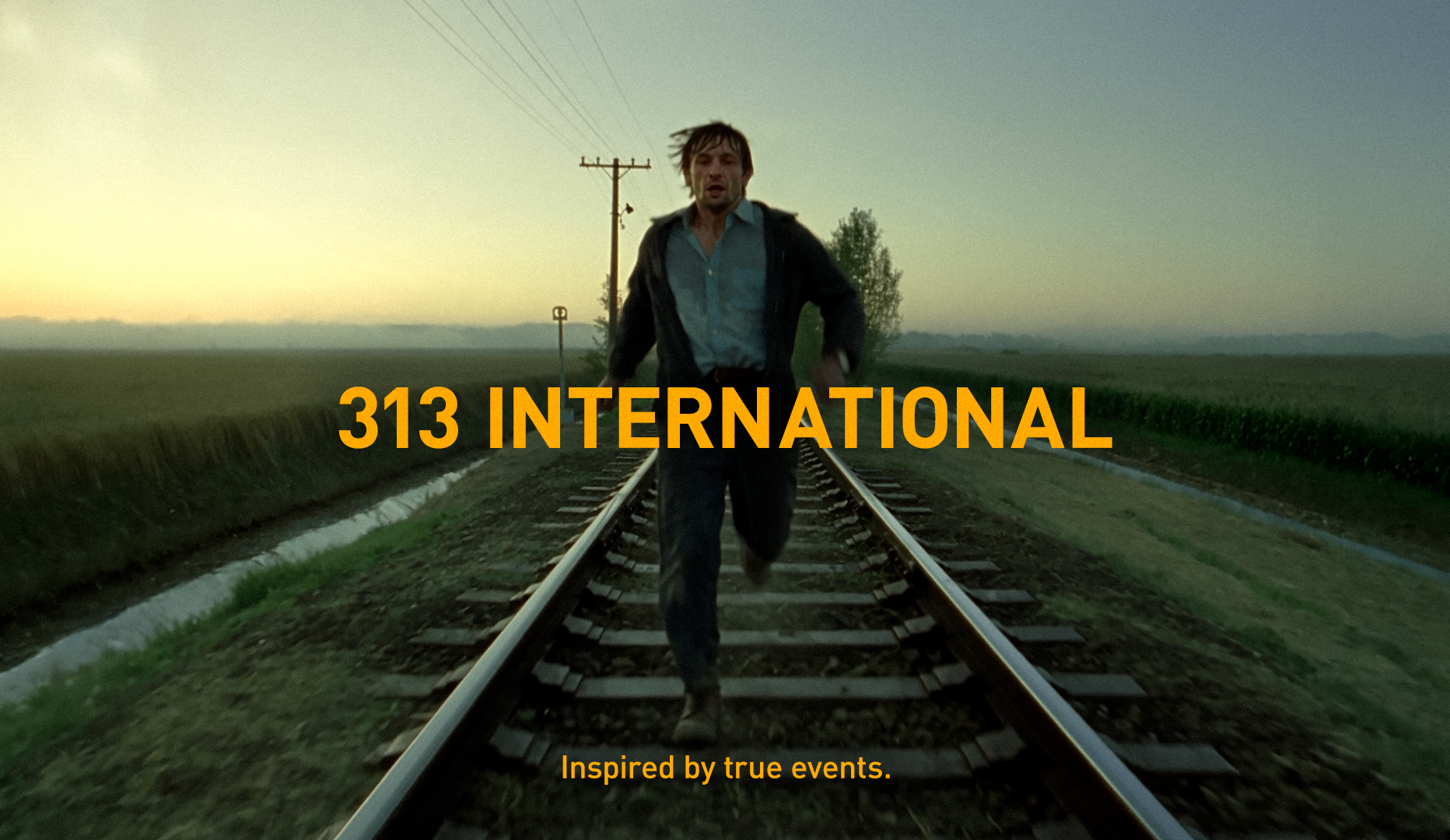 313 INTERNATIONAL