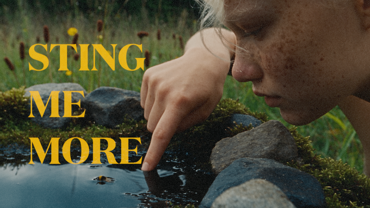 Sting me more