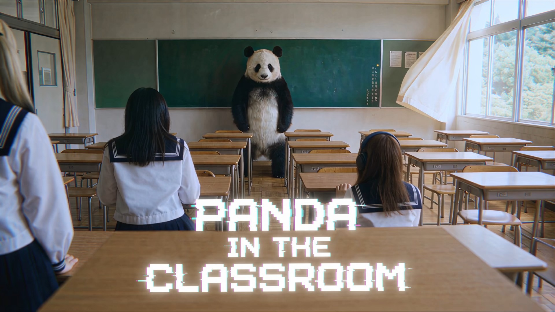 PANDA IN THE CLASSROOM