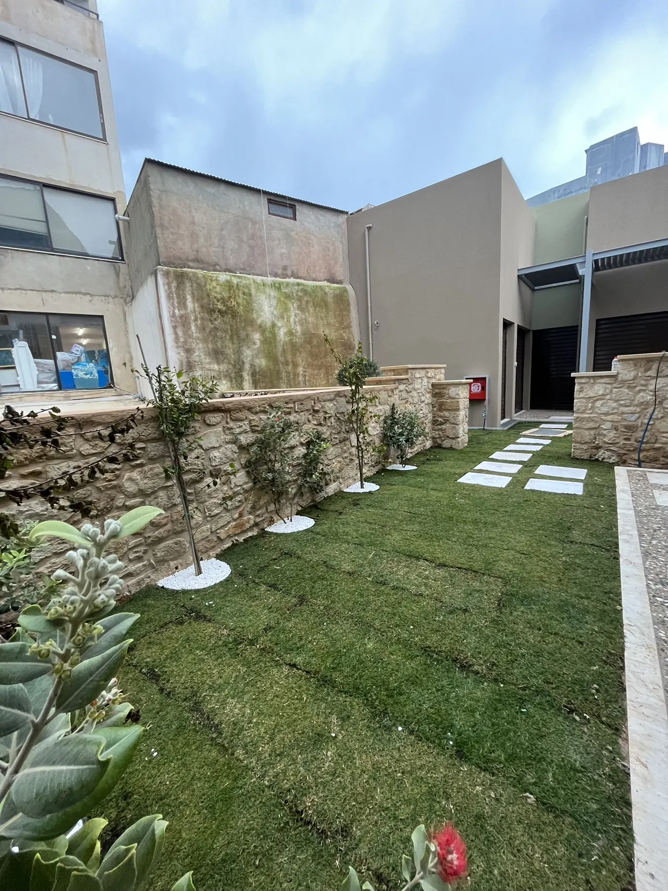 The finished courtyard in February 2023, lawn and stepping stones with new planting against the restored stone wall