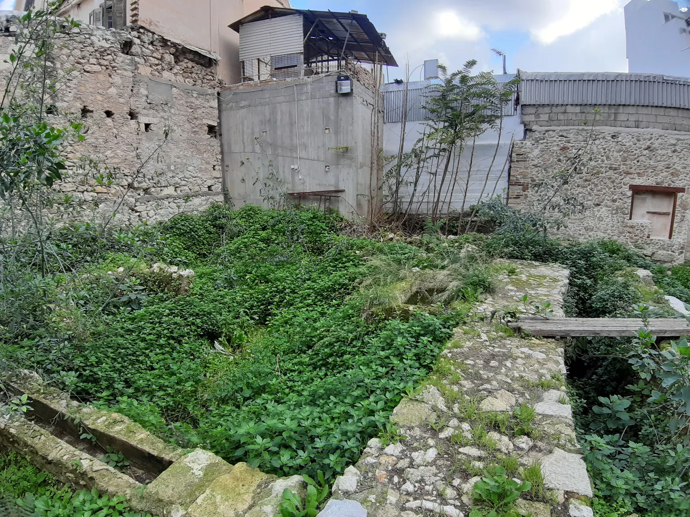 The derelict lot on Odos 1866 in December 2020, collapsed rubble walls buried under ivy between the surrounding buildings