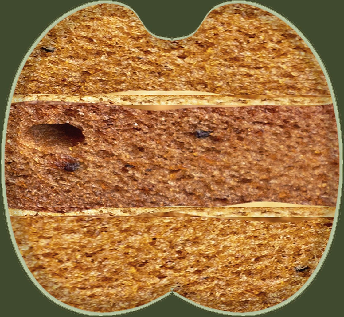 Macro cross-section of apple pastila showing its fibrous, honeycomb-like layers