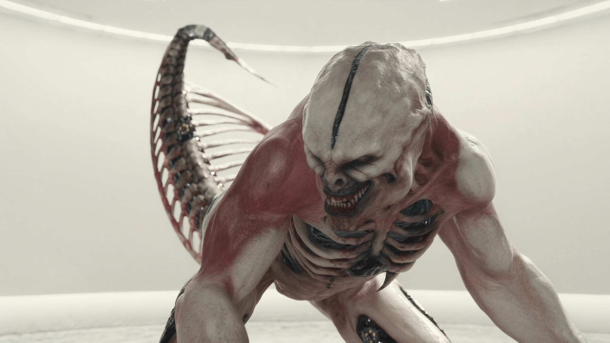 THE SCORPION HOST