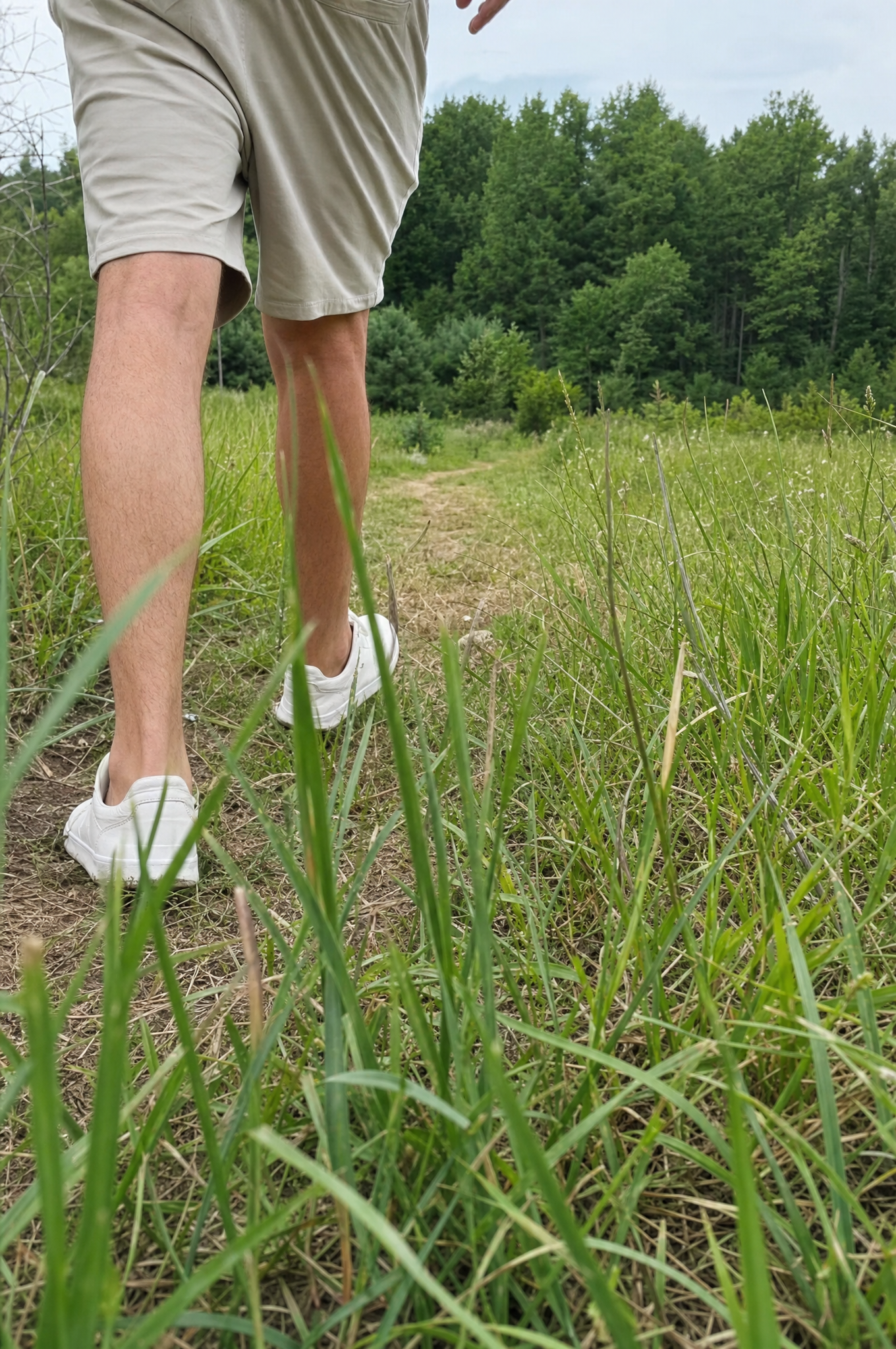 Low-angle view walking through tall grass along a wooded trail edge