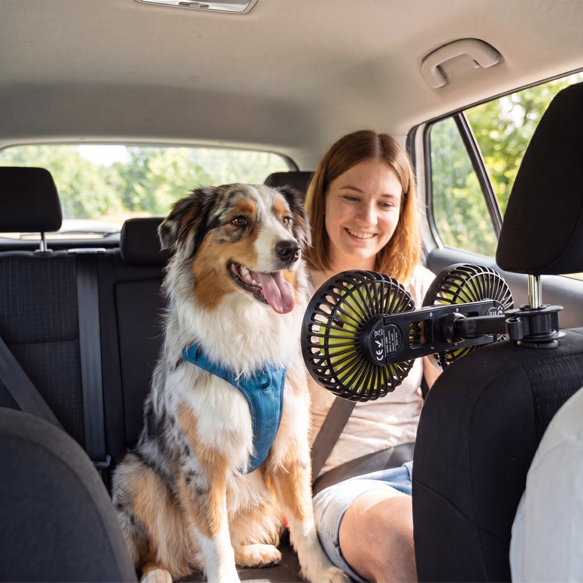 FreshDoggy kühlt den Hund mit sanftem Luftstrom auf der Rückbank