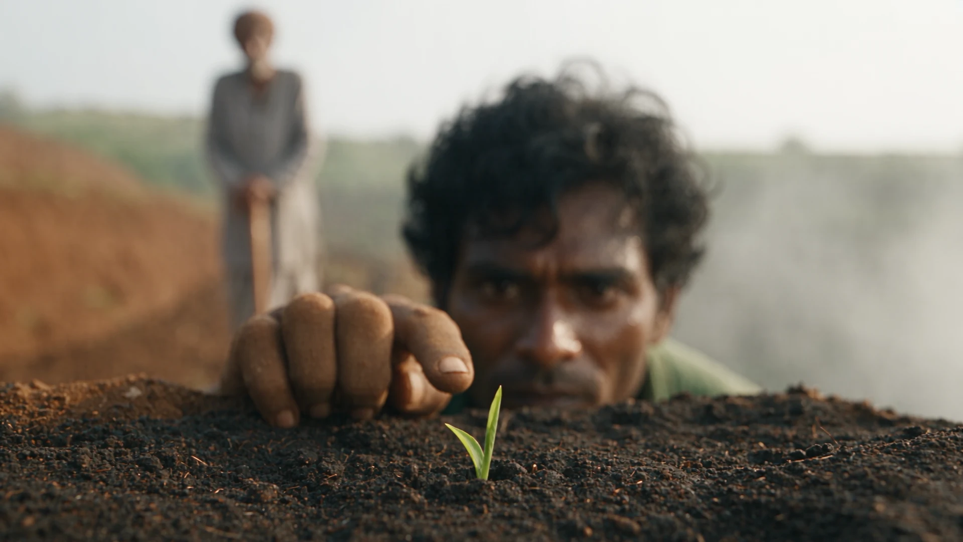 THE LAST SEED