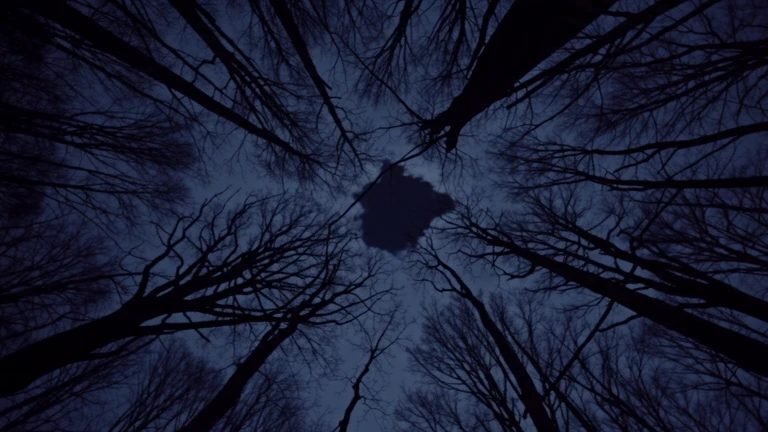Archive IX Presents Case File: The Blackwood Hollow Curfew