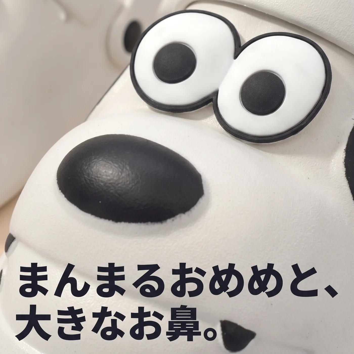 立体のおめめと大きなお鼻