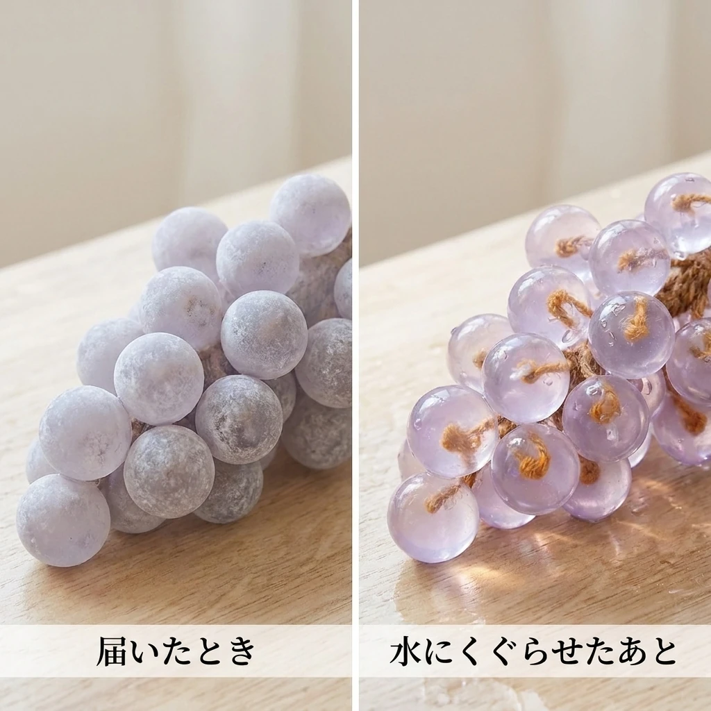 届いたときと水にくぐらせたあと