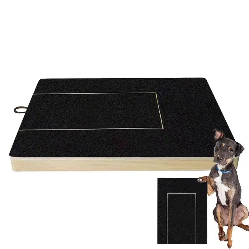 Basic Board