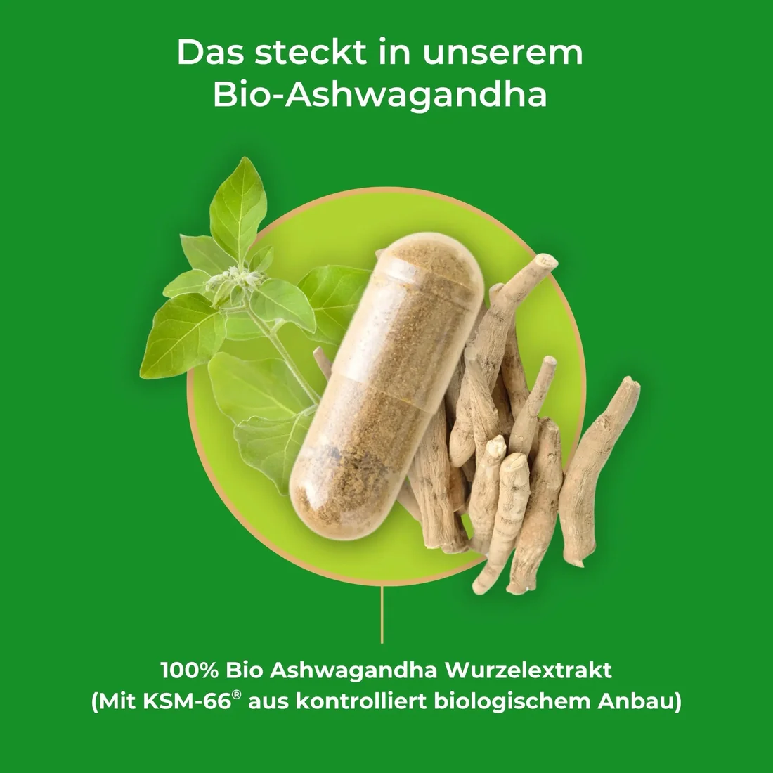 Produkt