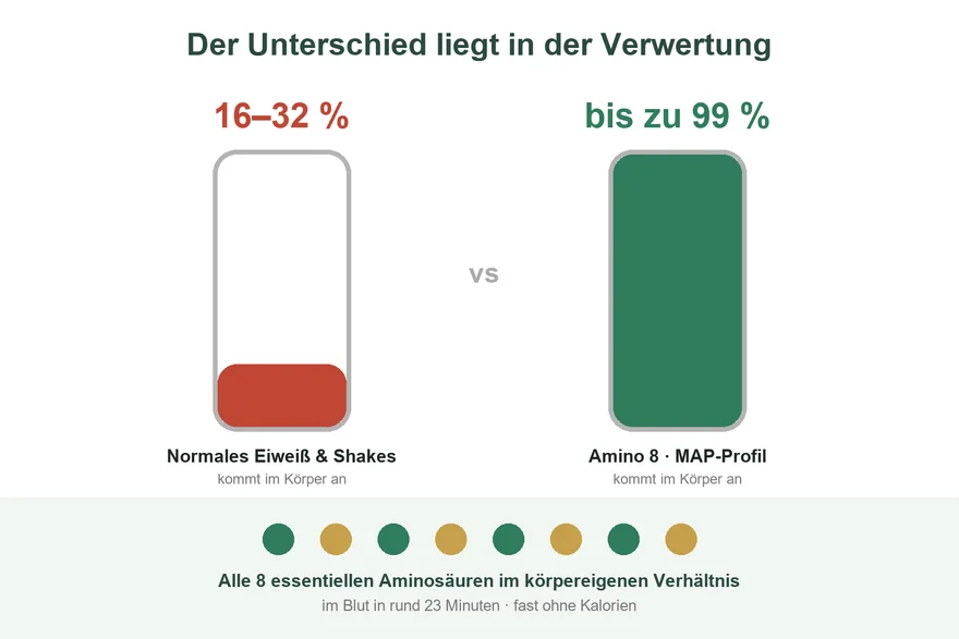 Verwertung von Nahrungsprotein 16 bis 20 % gegenüber 99 % bei Amino 8