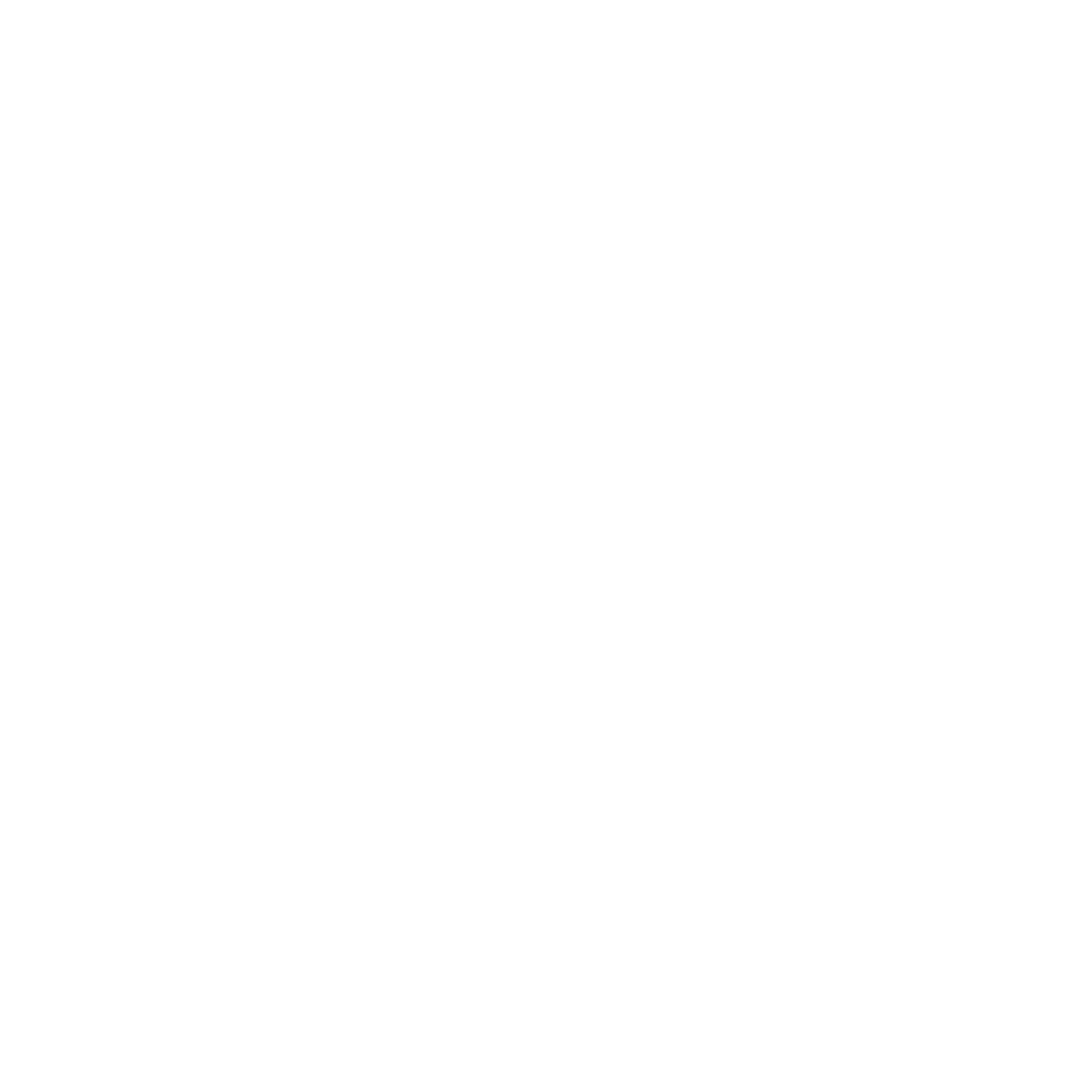company brain
