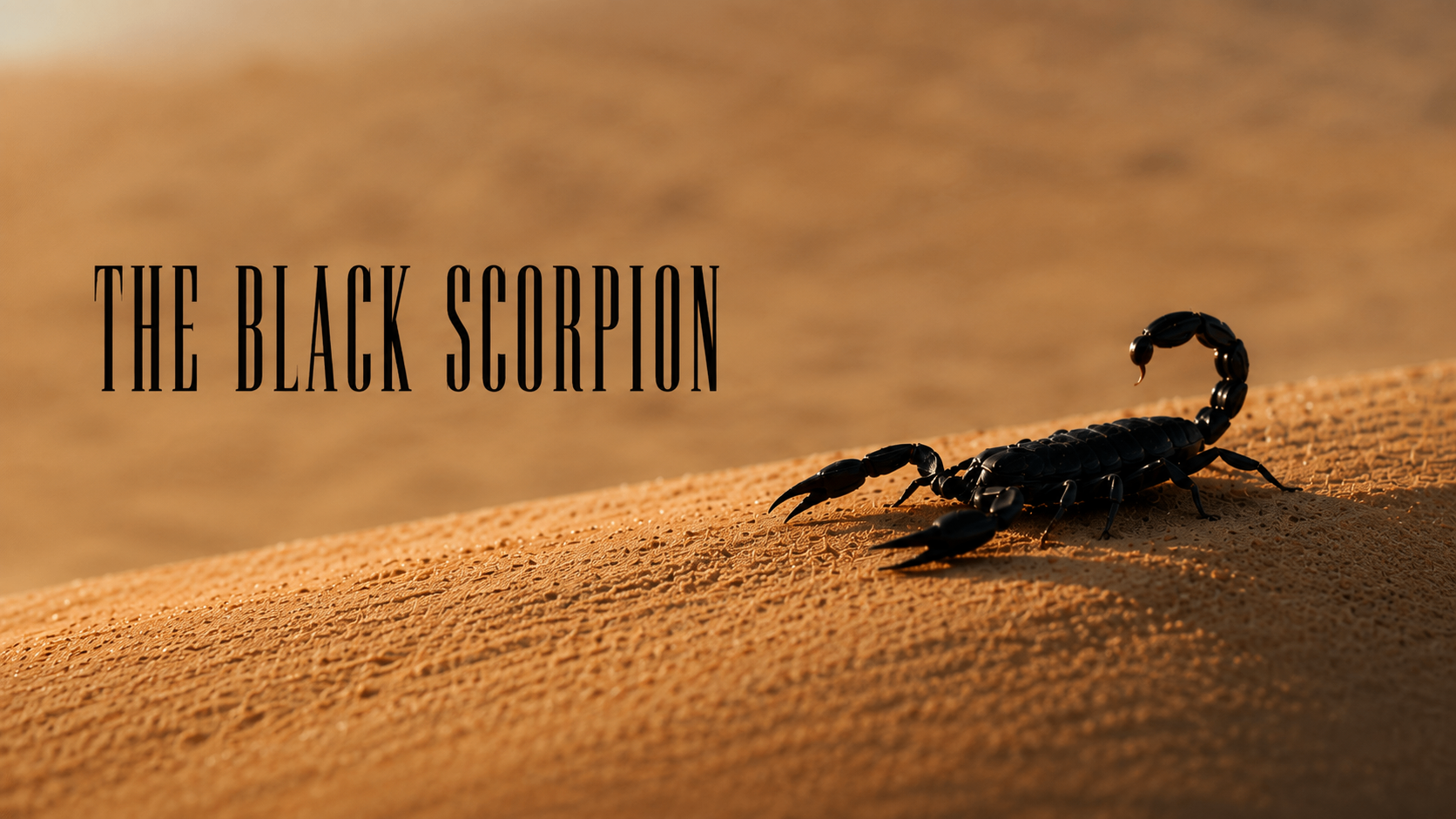 The Black Scorpion