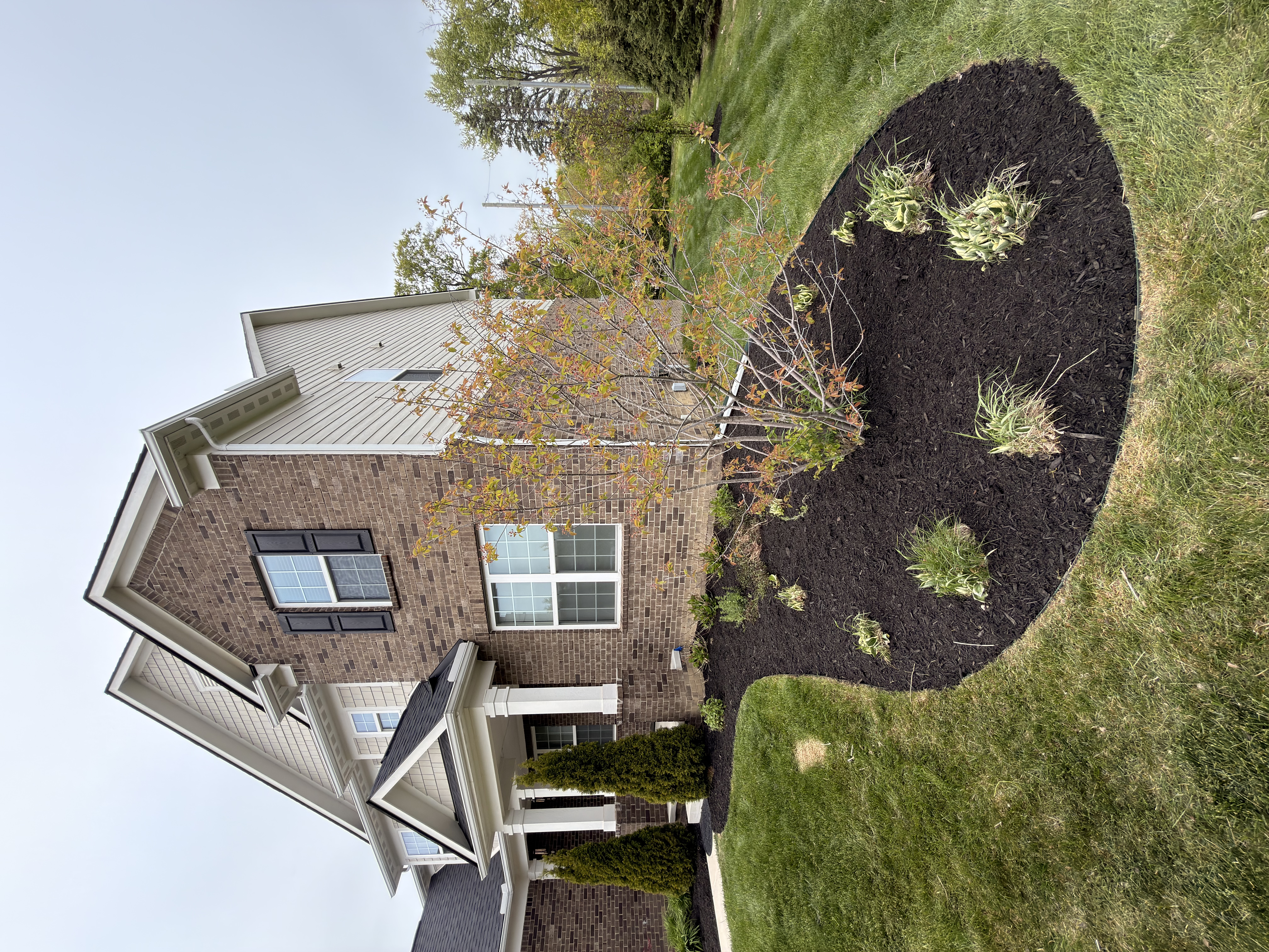 Front yard boulder border and mulch bed landscape design