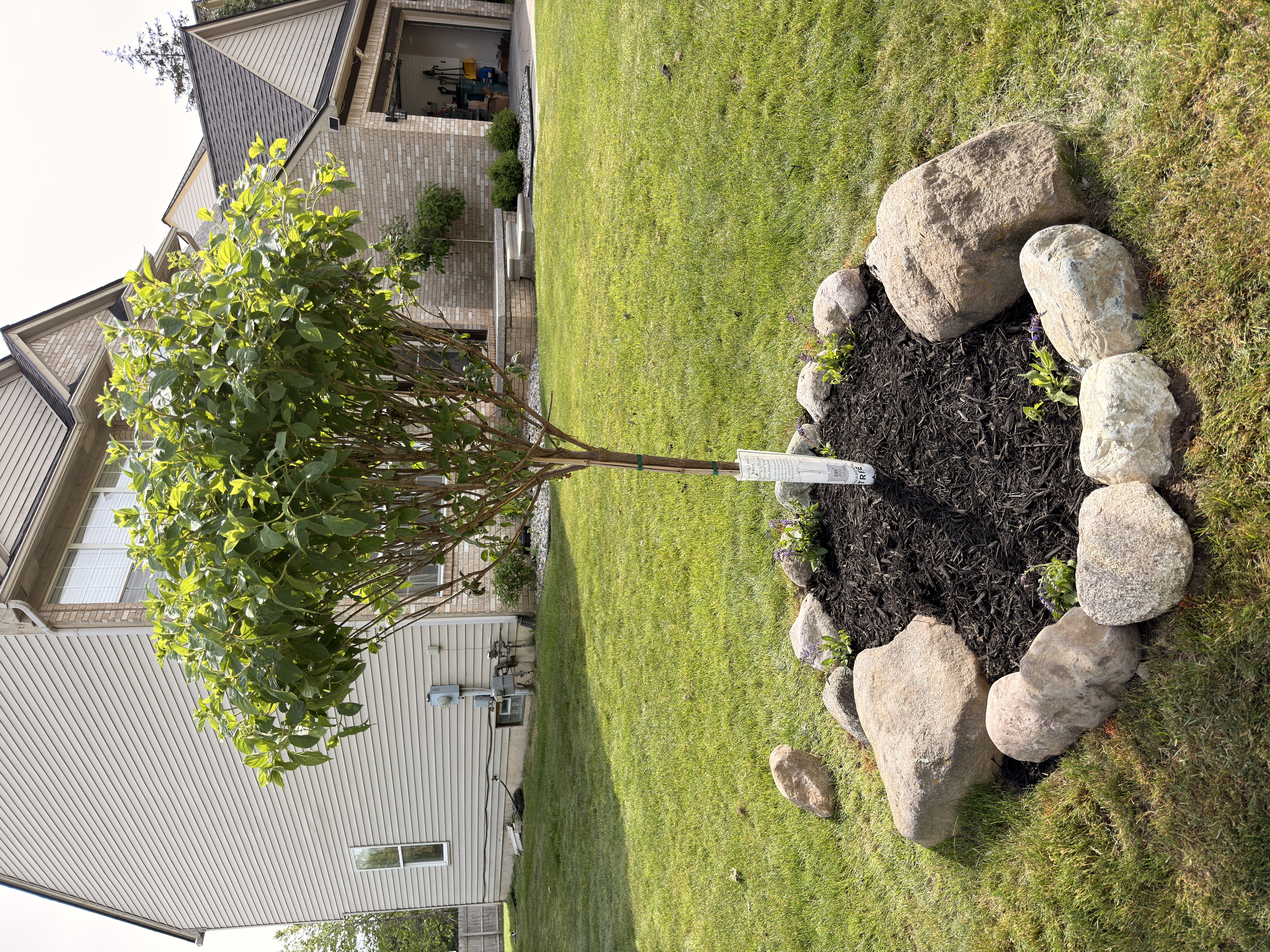 Window box planters and foundation planting installation