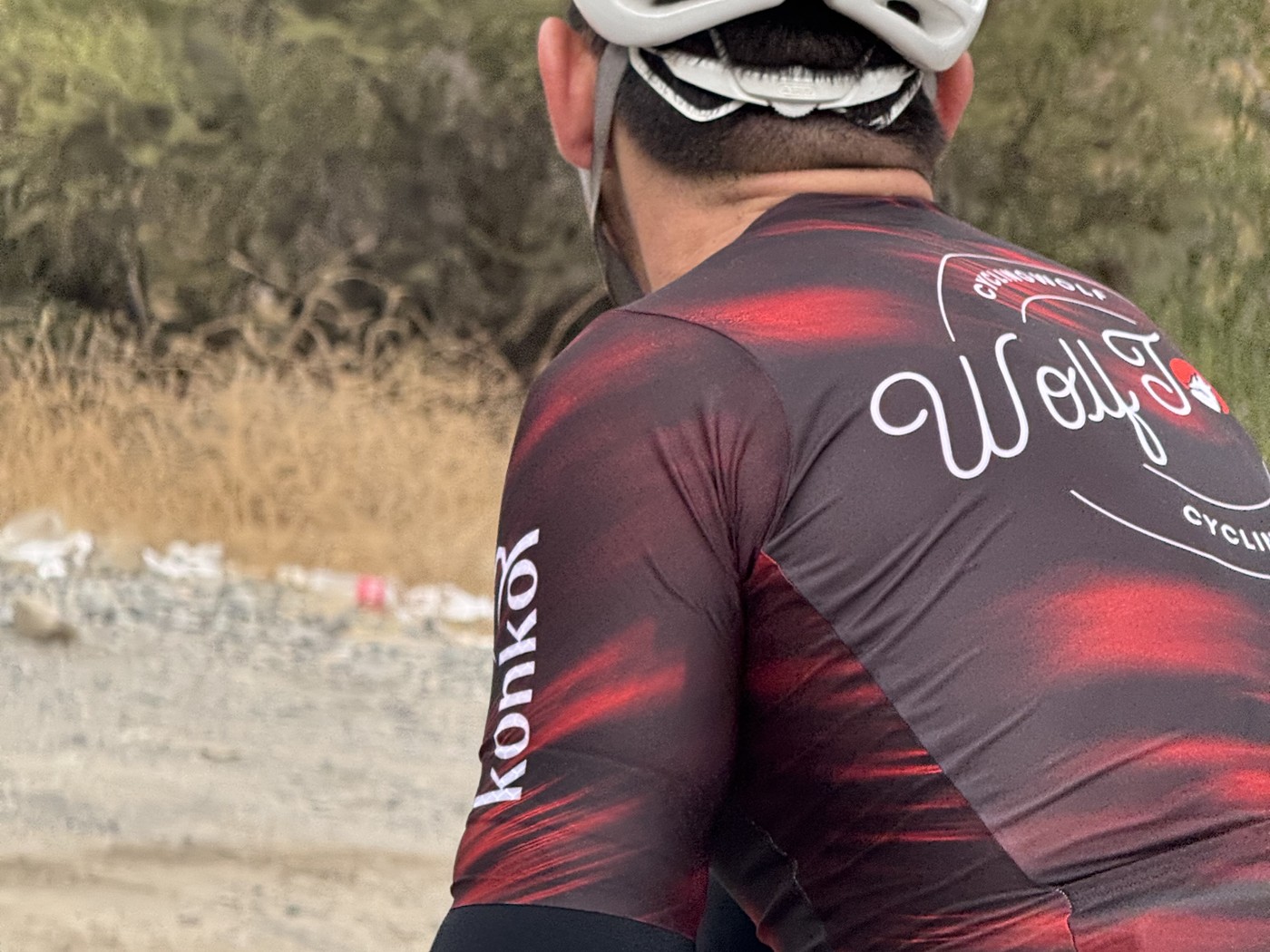 Detalle de la espalda del jersey Wolf Tours