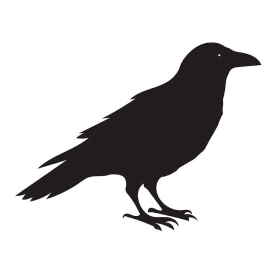 raven