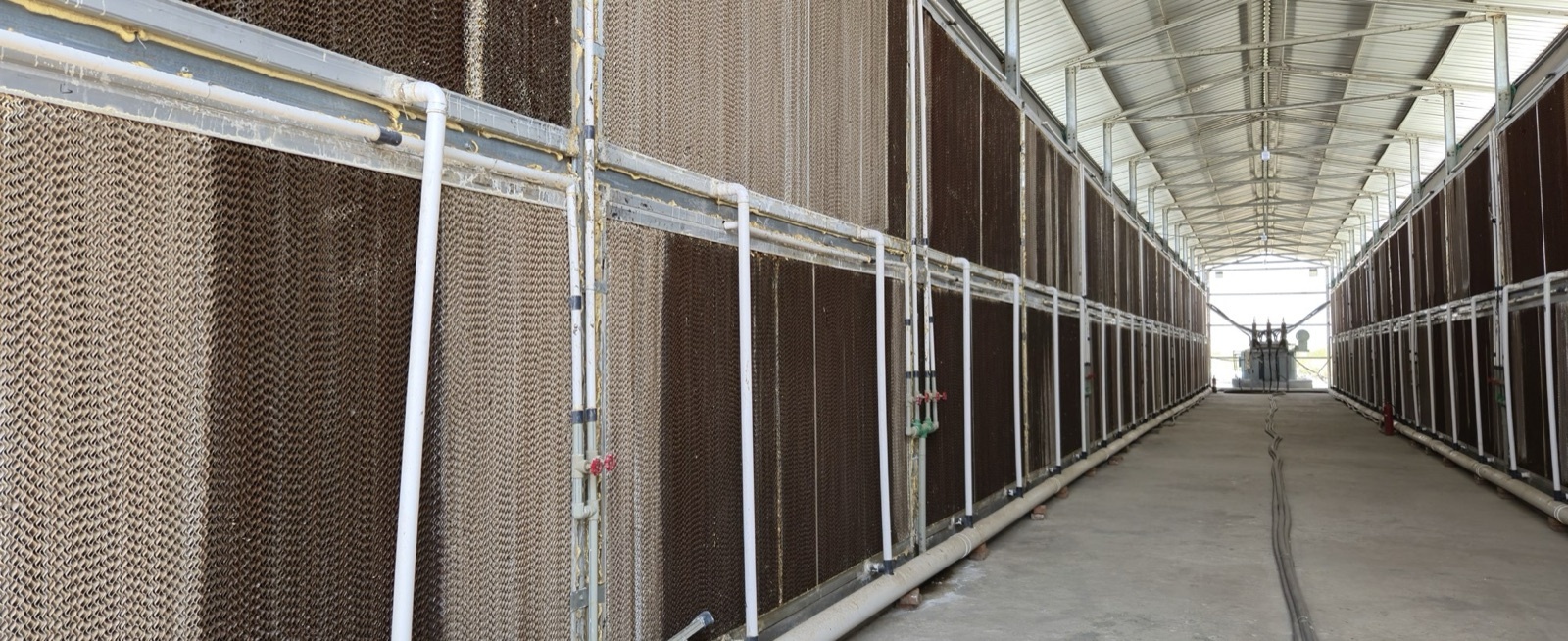 Rows of Bitcoin miners in a OneMiners hosting facility