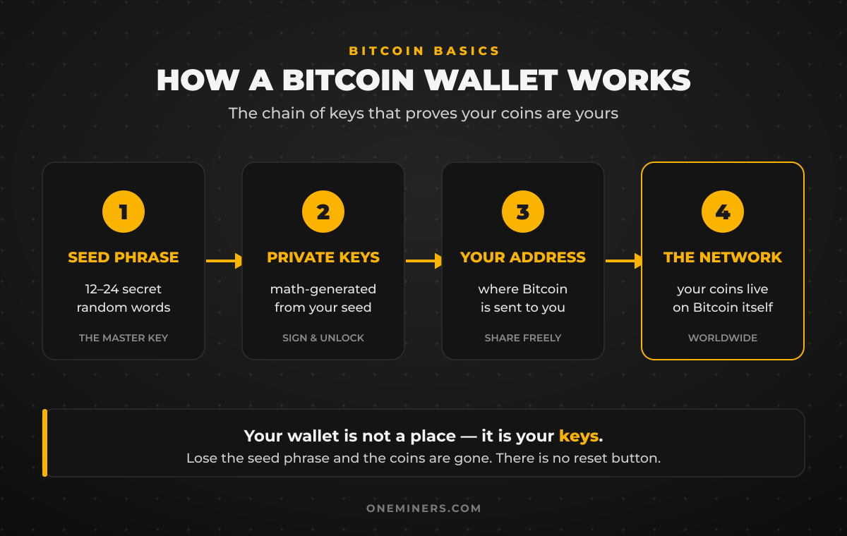 Diagram: how a Bitcoin wallet works - seed phrase to private keys to your address to the Bitcoin network