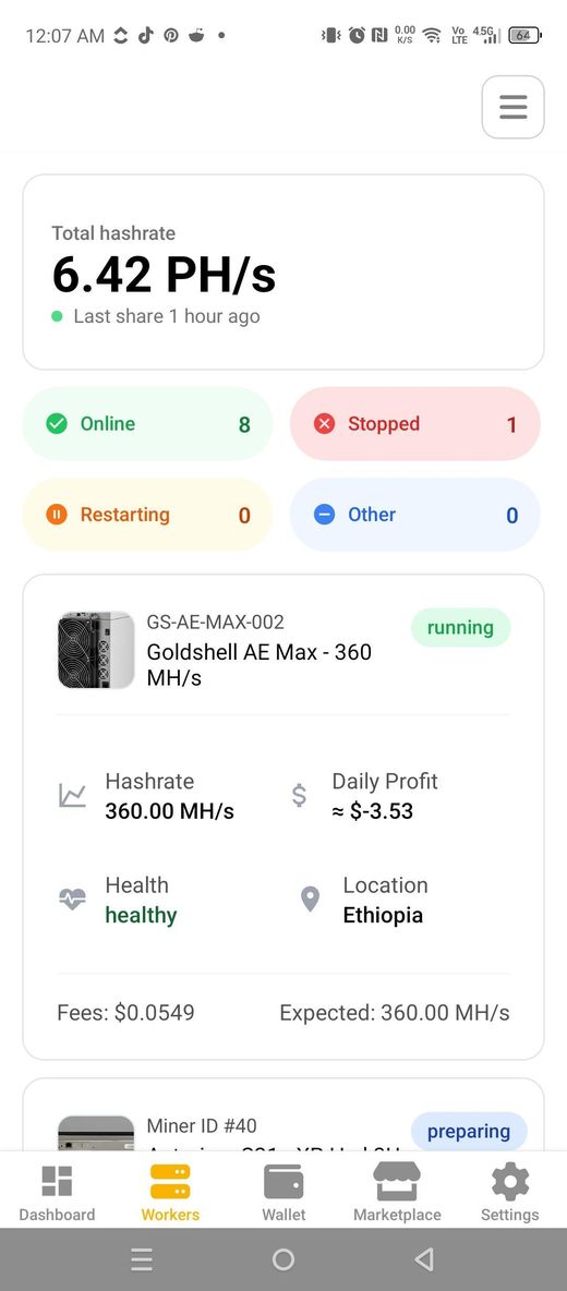 Workers screen with hashrate and status