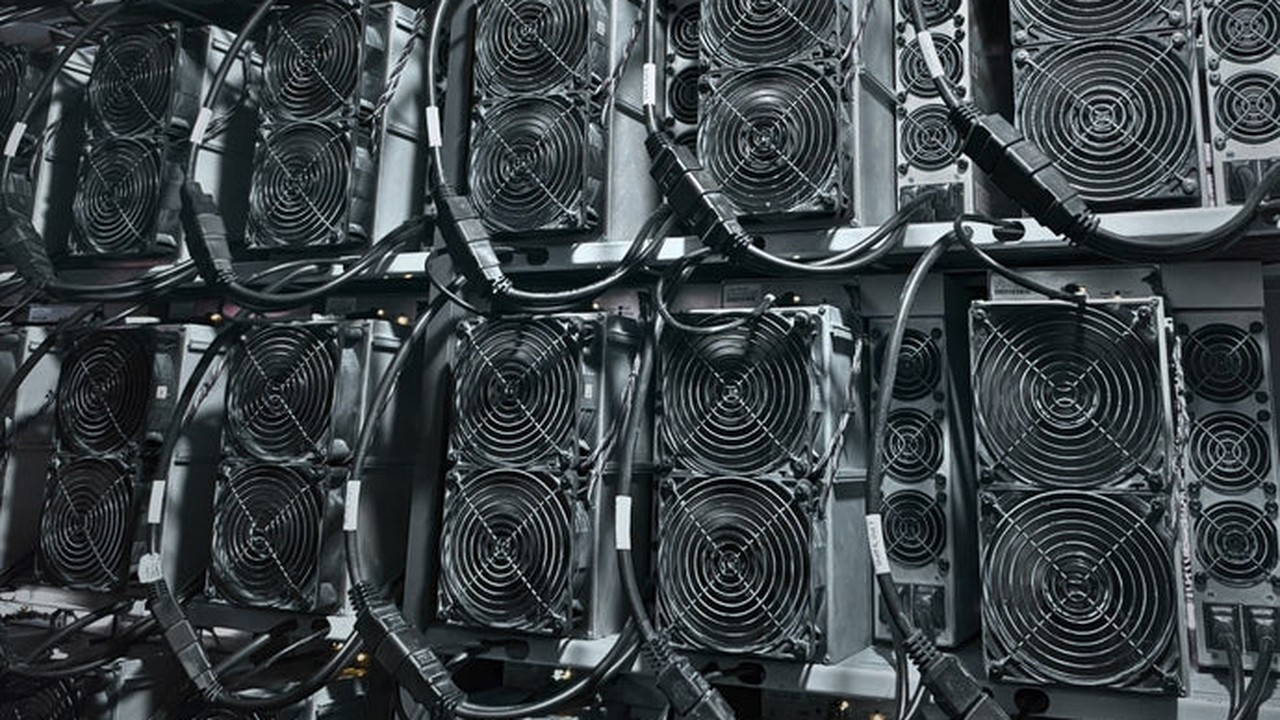 Rack wall of hosted ASIC miners at the OneMiners Georgia facility, cabling and cooling fans in tight formation