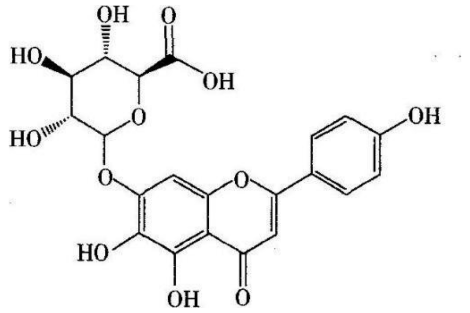 Breviscapine: A Review on its Phytochemistry, Pharmacokinetics and Therapeutic Effects