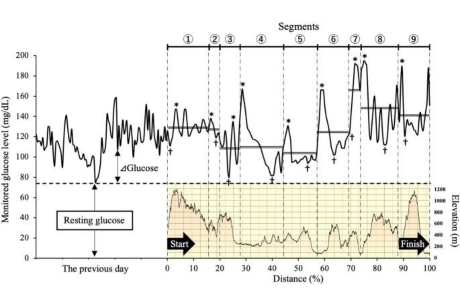 A comparative observational study of carbohydrate intake and continuous blood glucose levels in relation to performance in ultramarathon