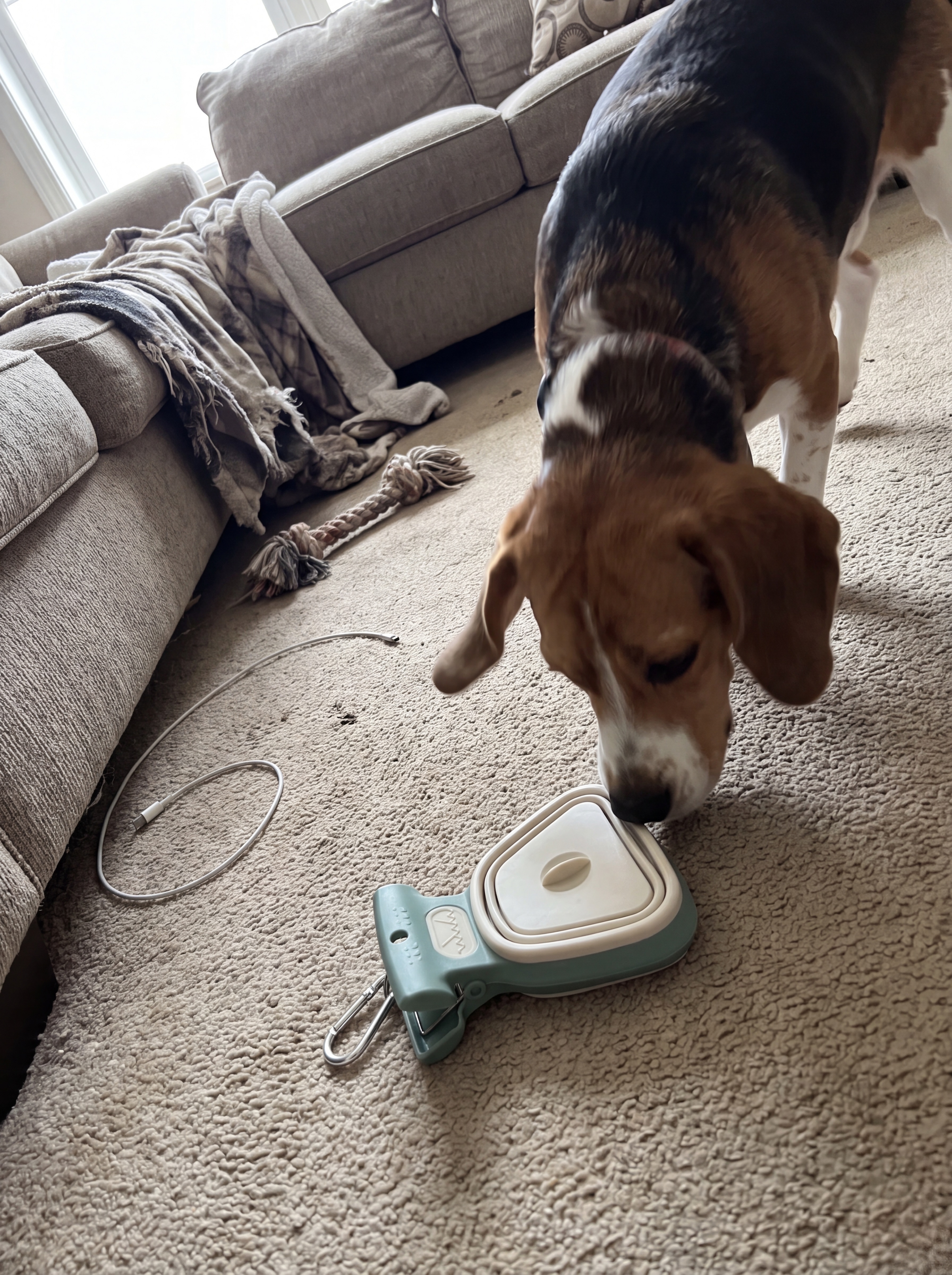 Newdogmom
