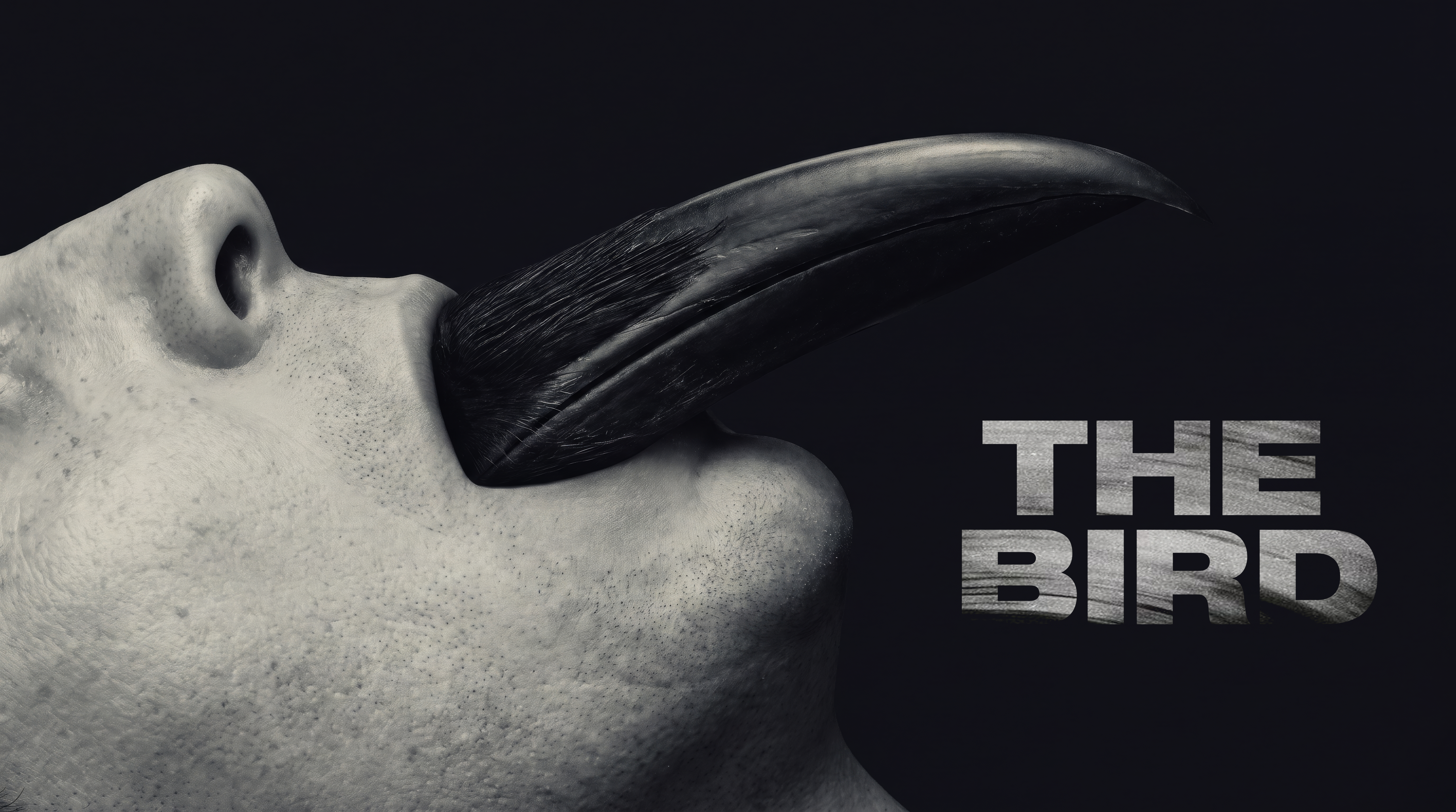 The Bird
