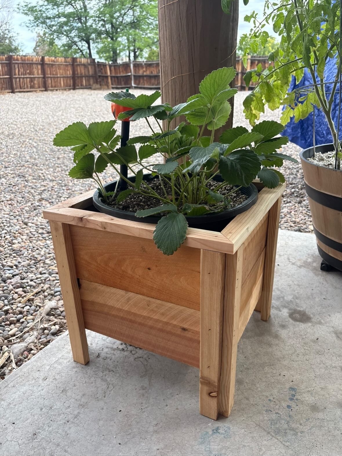 Planter box