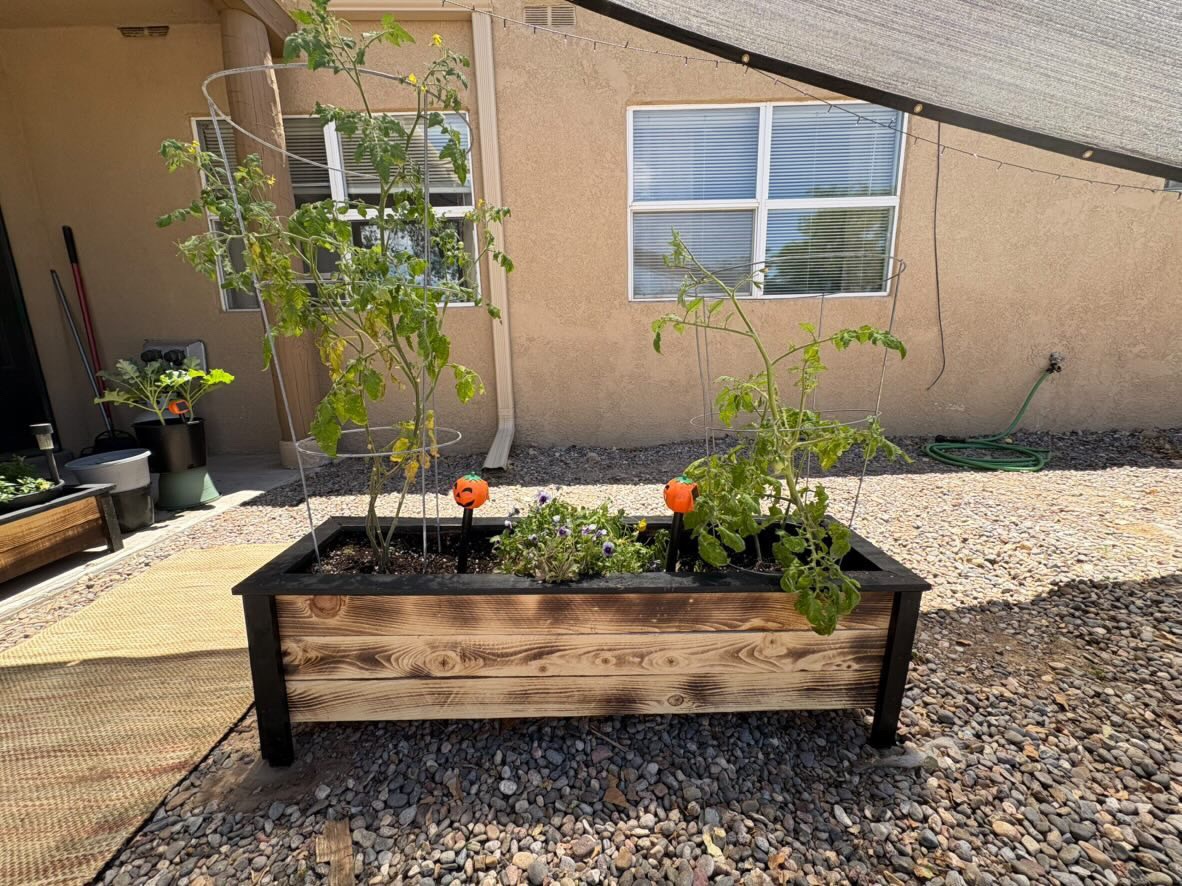 Plant stand