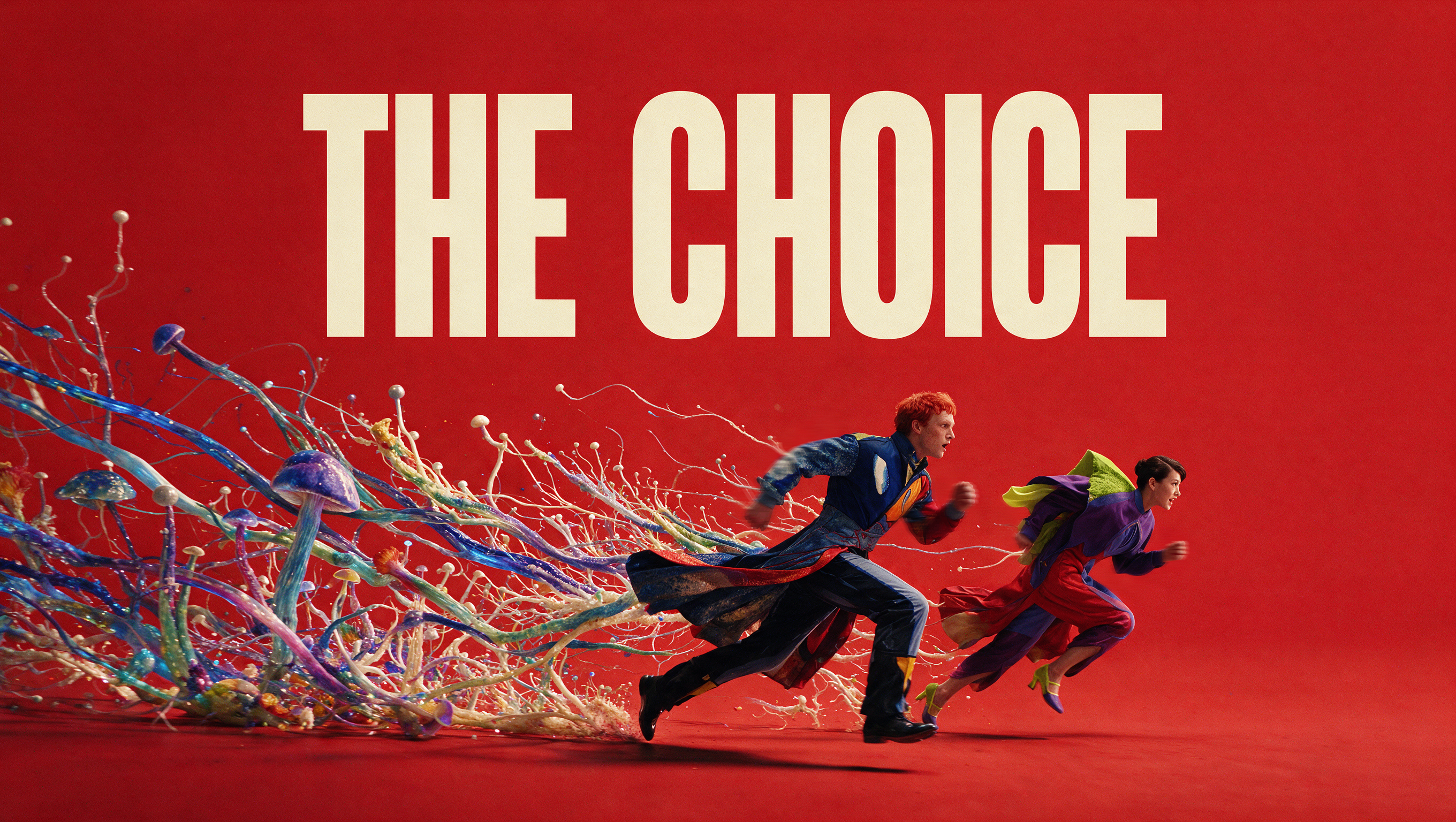 THE CHOICE