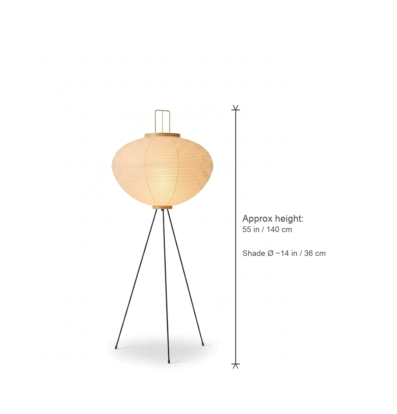 Lasse floor lantern dimensions diagram — ~55 in tall, shade ~14 in