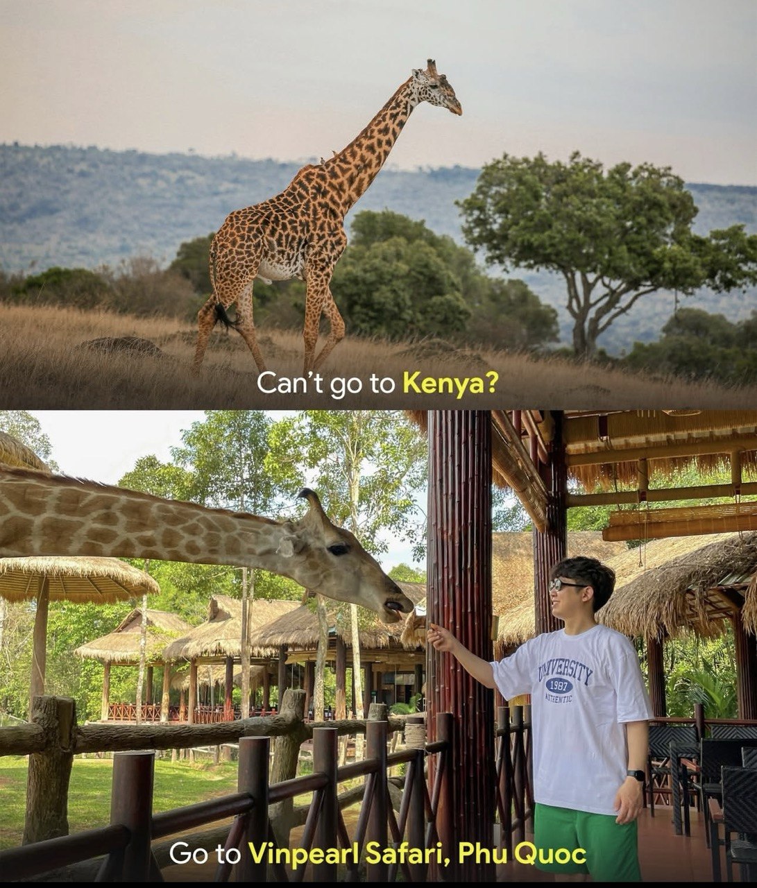 Vinpearl Safari