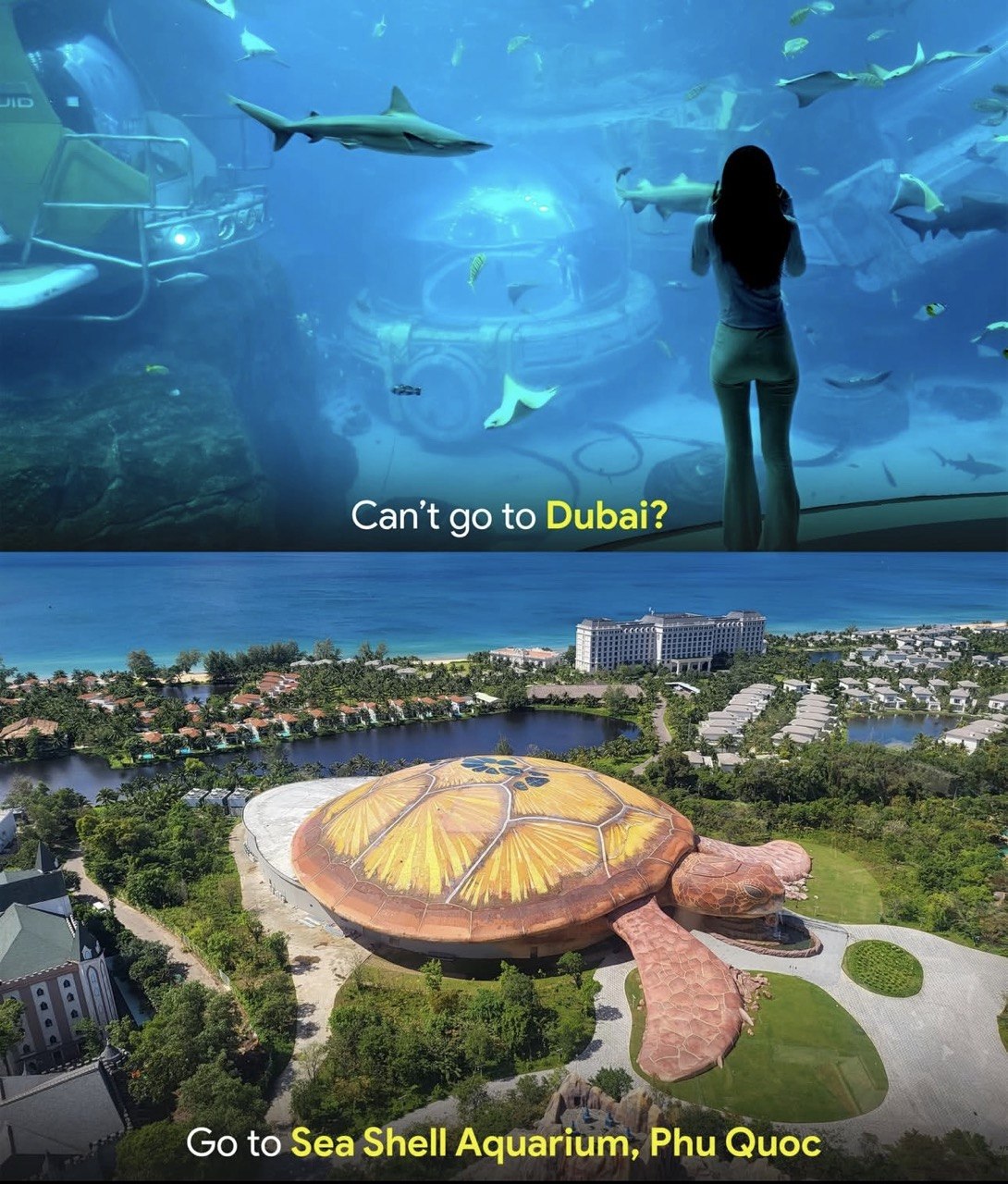 Sea Shell Aquarium