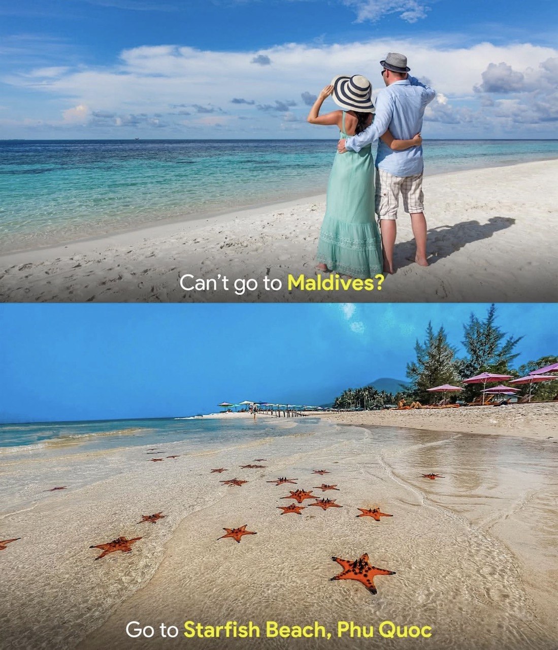 Starfish Beach