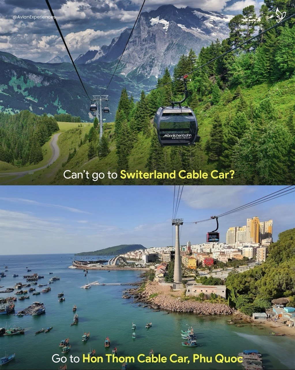 Hon Thom Cable Car