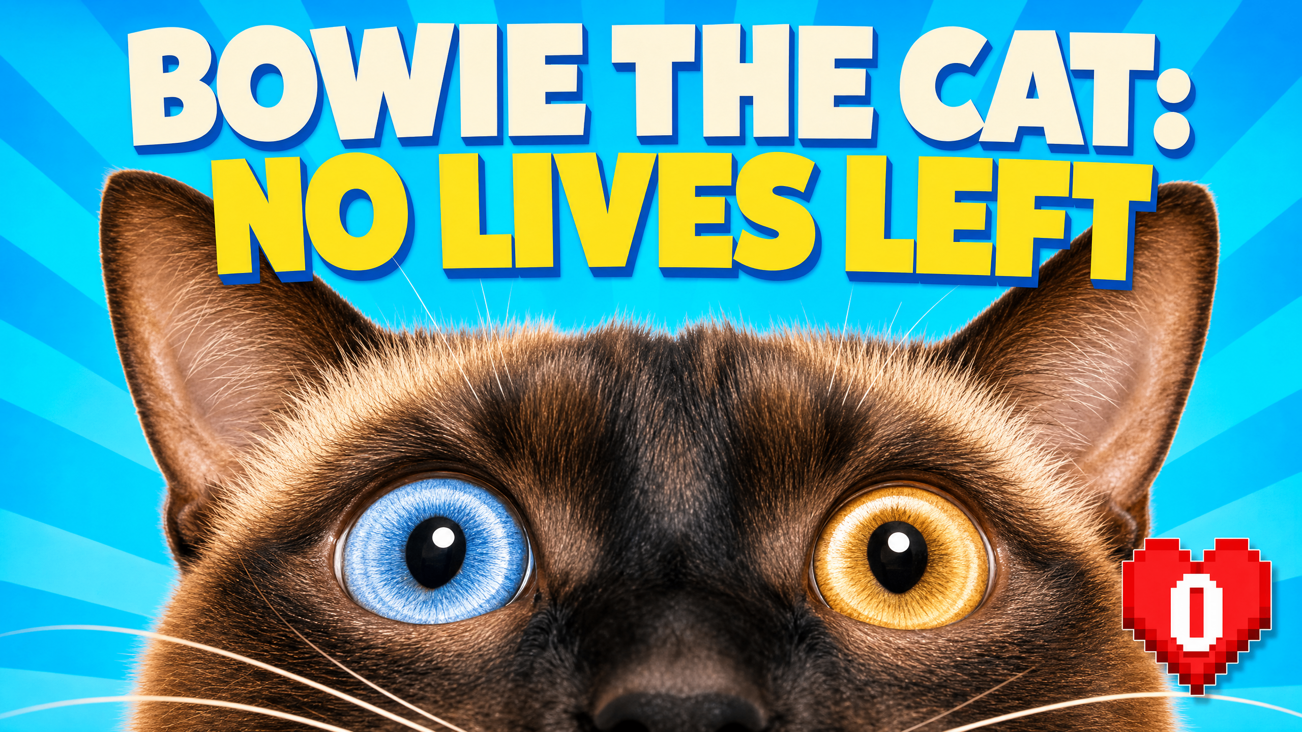 Bowie the Cat: No Lives Left