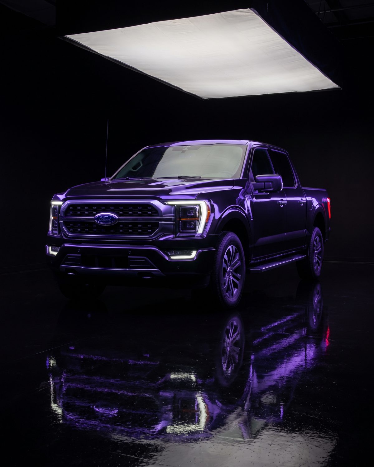 Black Ford F-150 in the studio at Tom's Ford, Keyport NJ