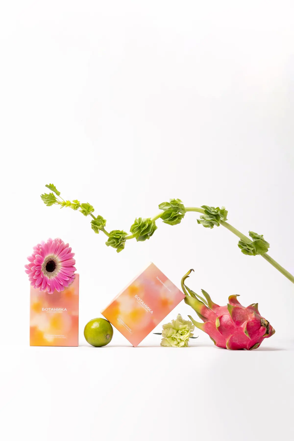 Растворимый specialty-кофе Botanica среди фруктов