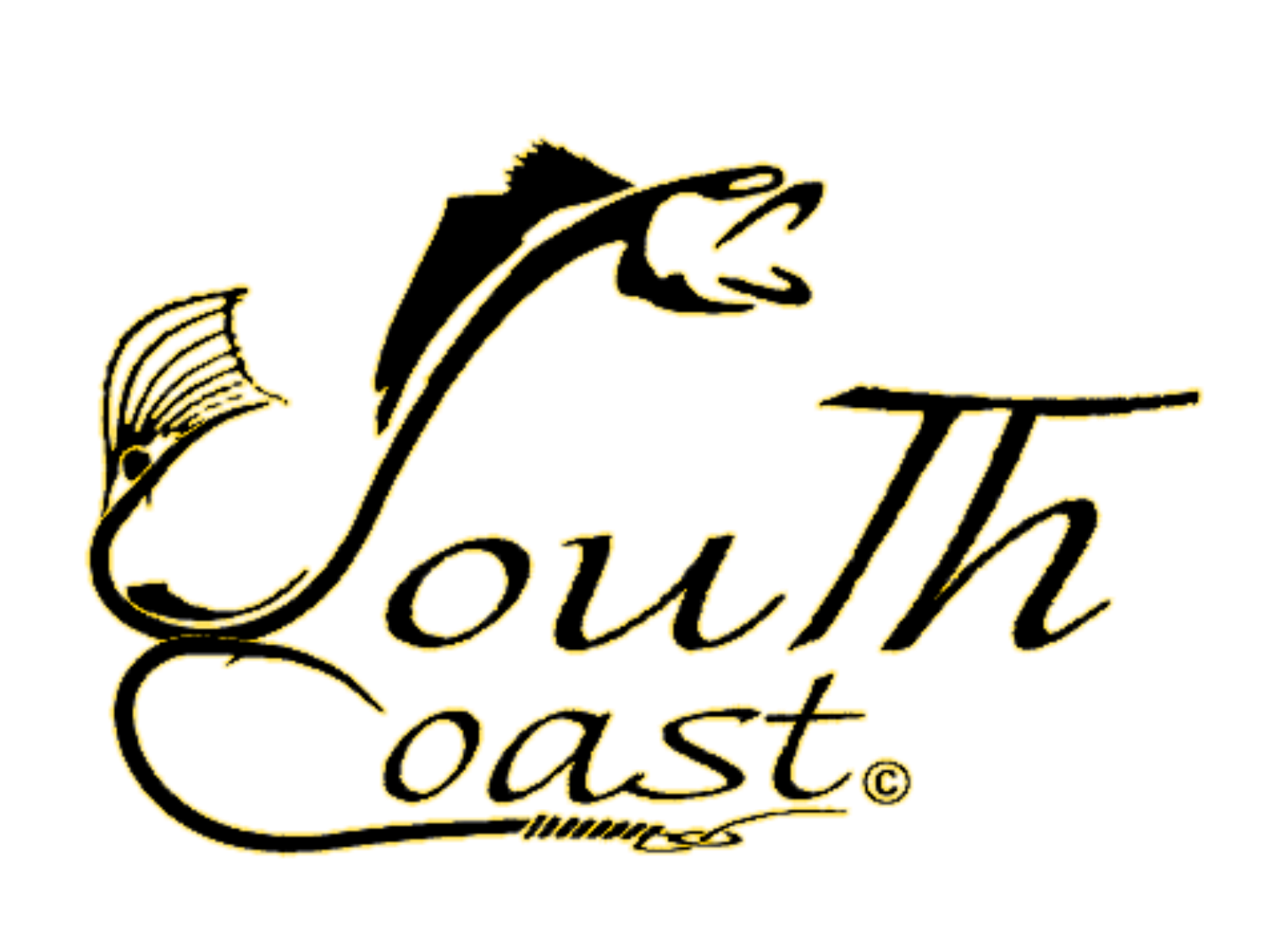 South Coast Charters