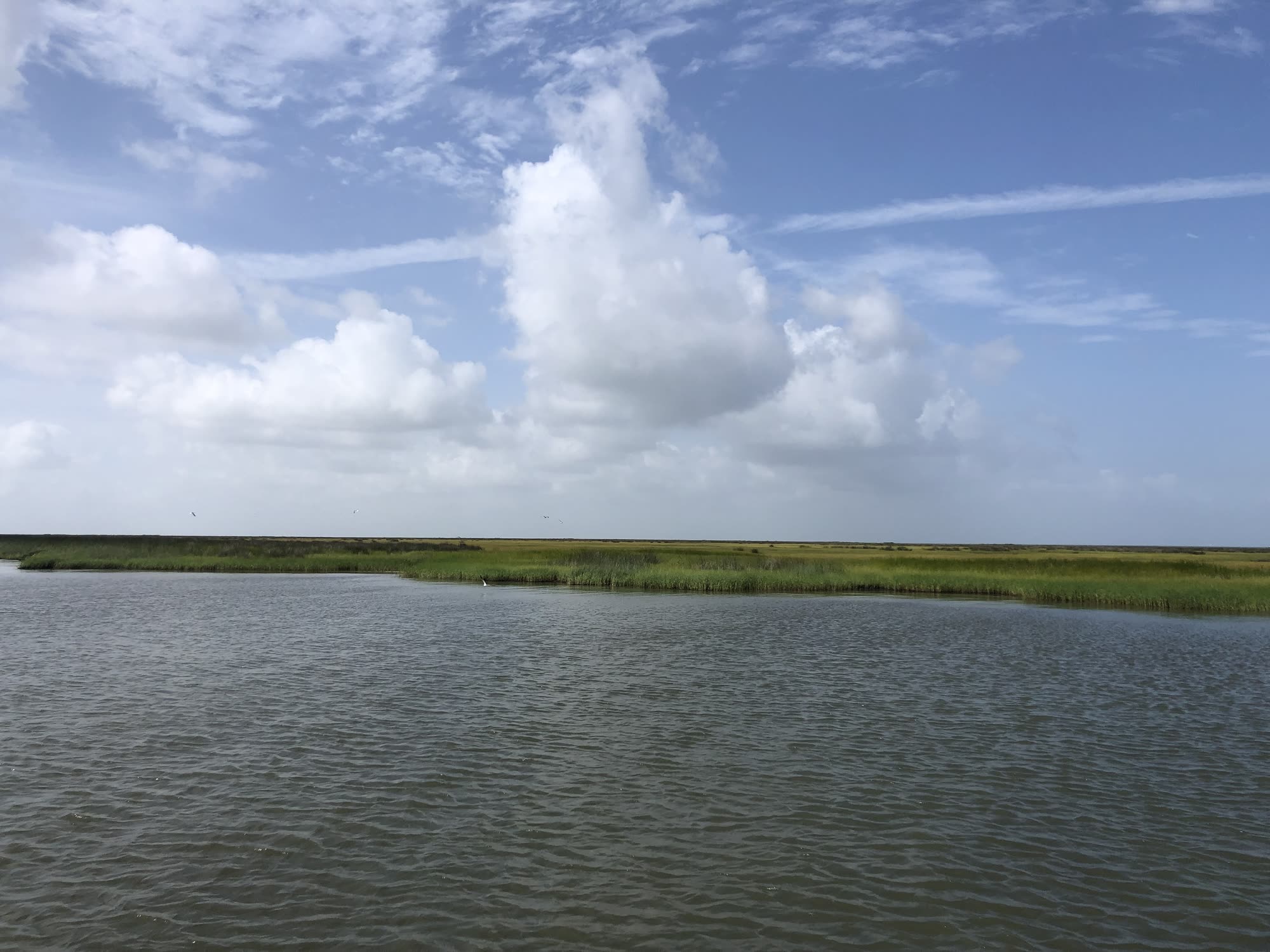 Grass flats and open water in the Biloxi Marsh