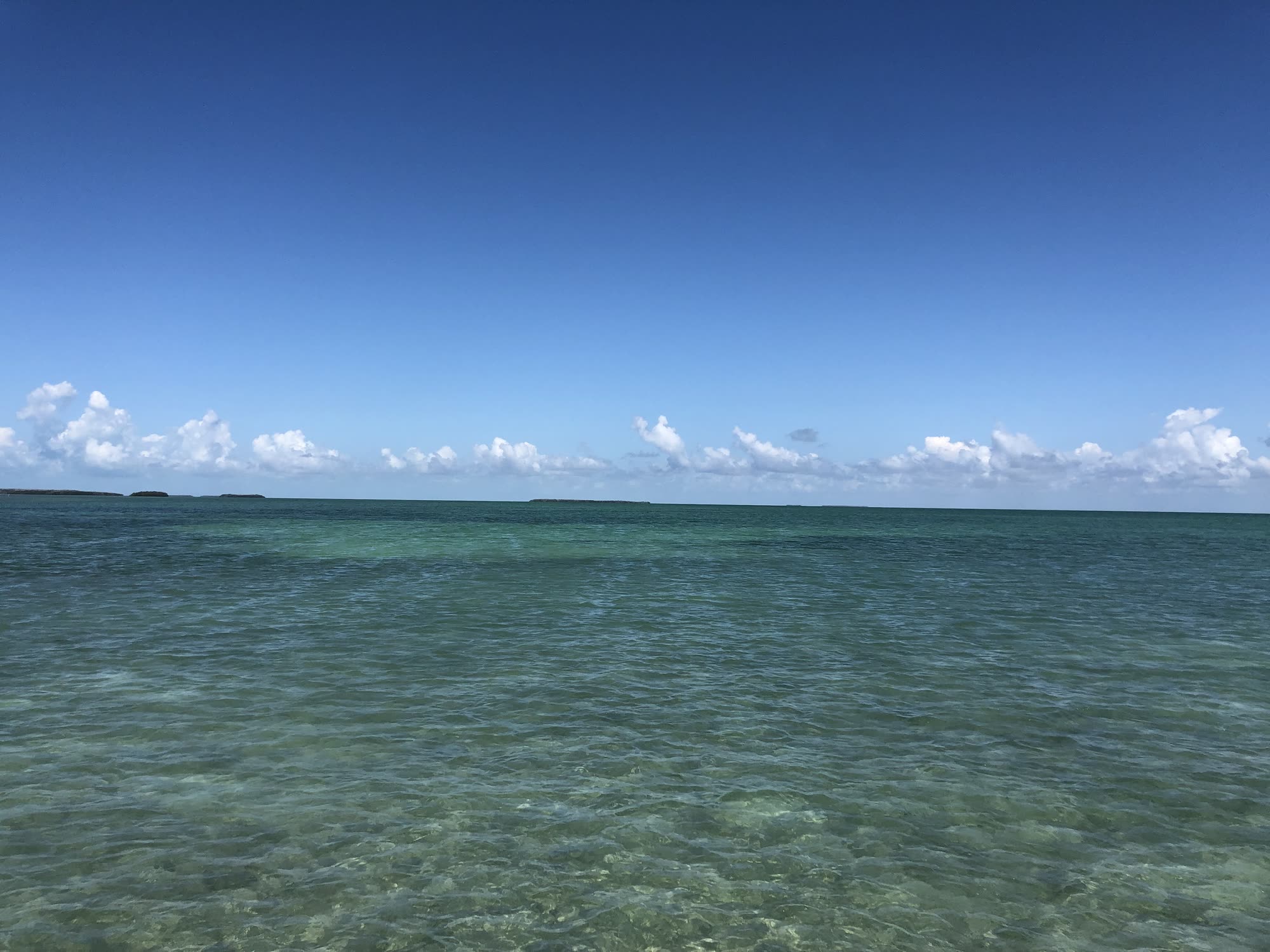 Clear shallow Gulf water off the barrier islands