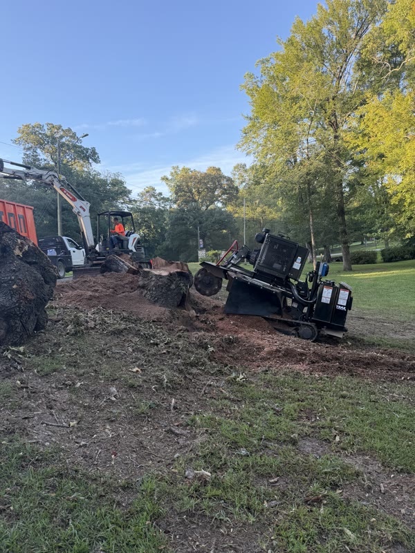 Burton Stump Removal grinder, excavator and dump truck working a row of stumps on a property
