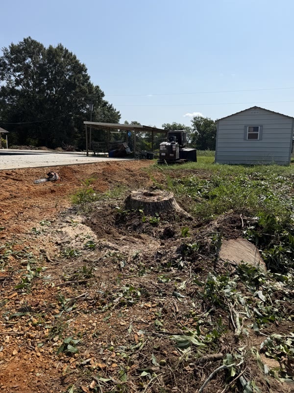 A large stump and a pile of brush left in a torn-up yard beside a storage building before grinding