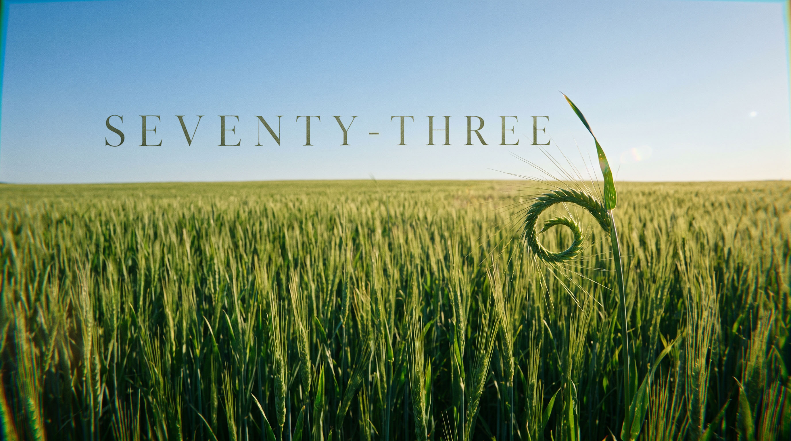 SEVENTY-THREE