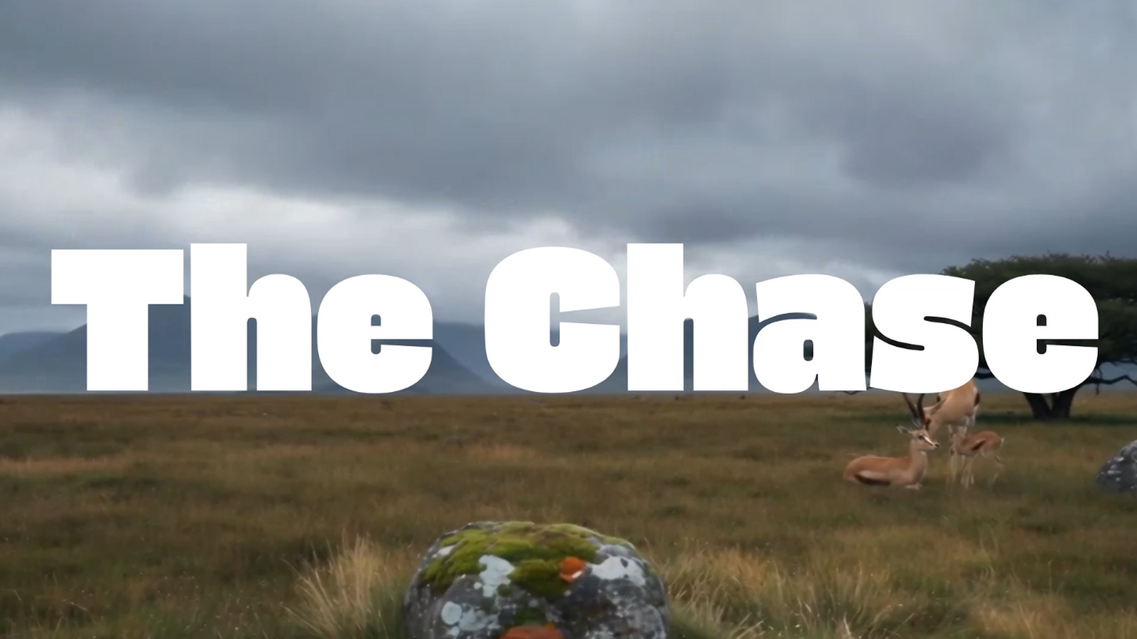 The Chase