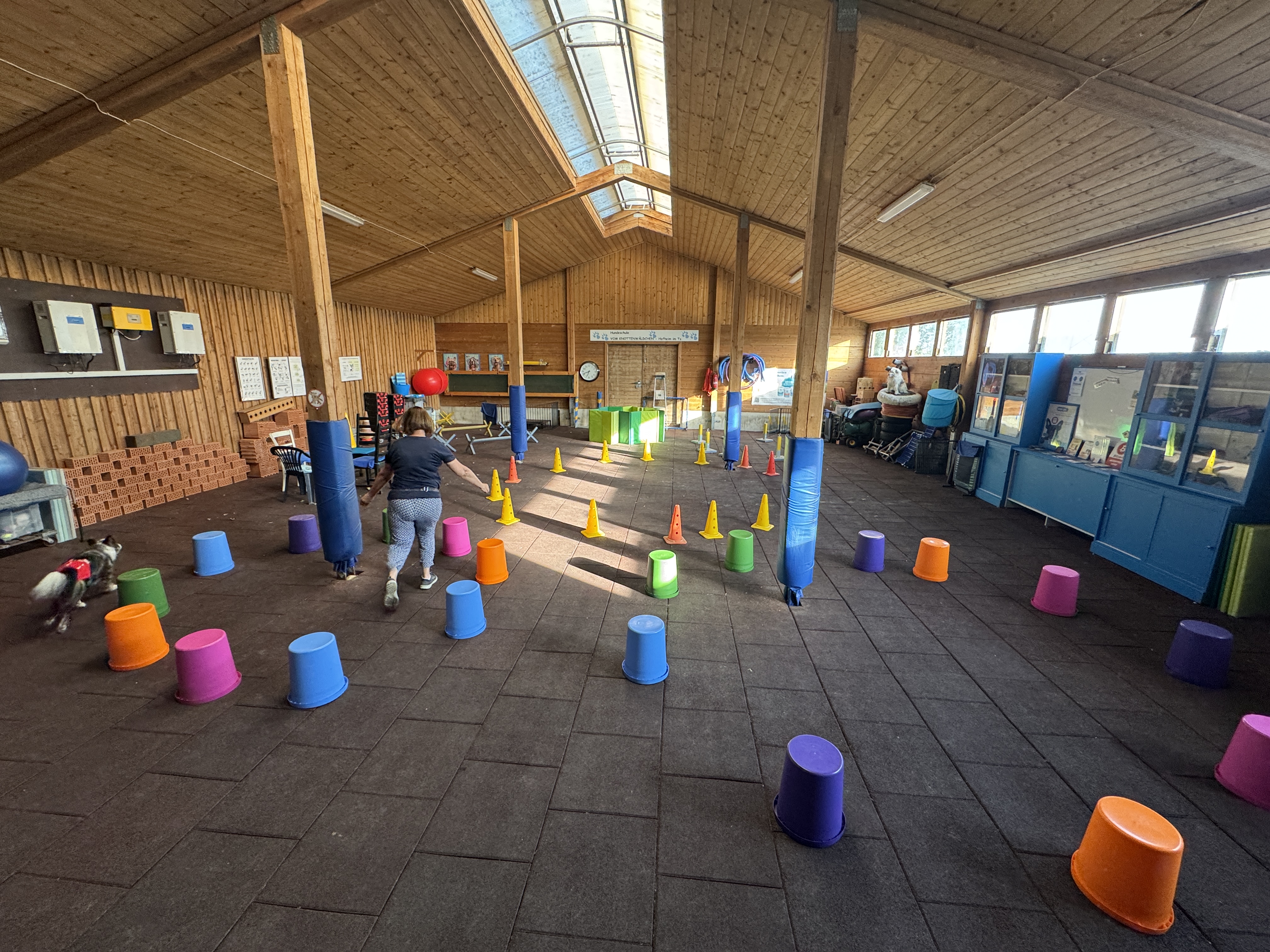 Geräumige Trainingshalle der Hundeschule Knottenwäldchen mit bunten Trainingsgeräten, Kegeln und Eimern